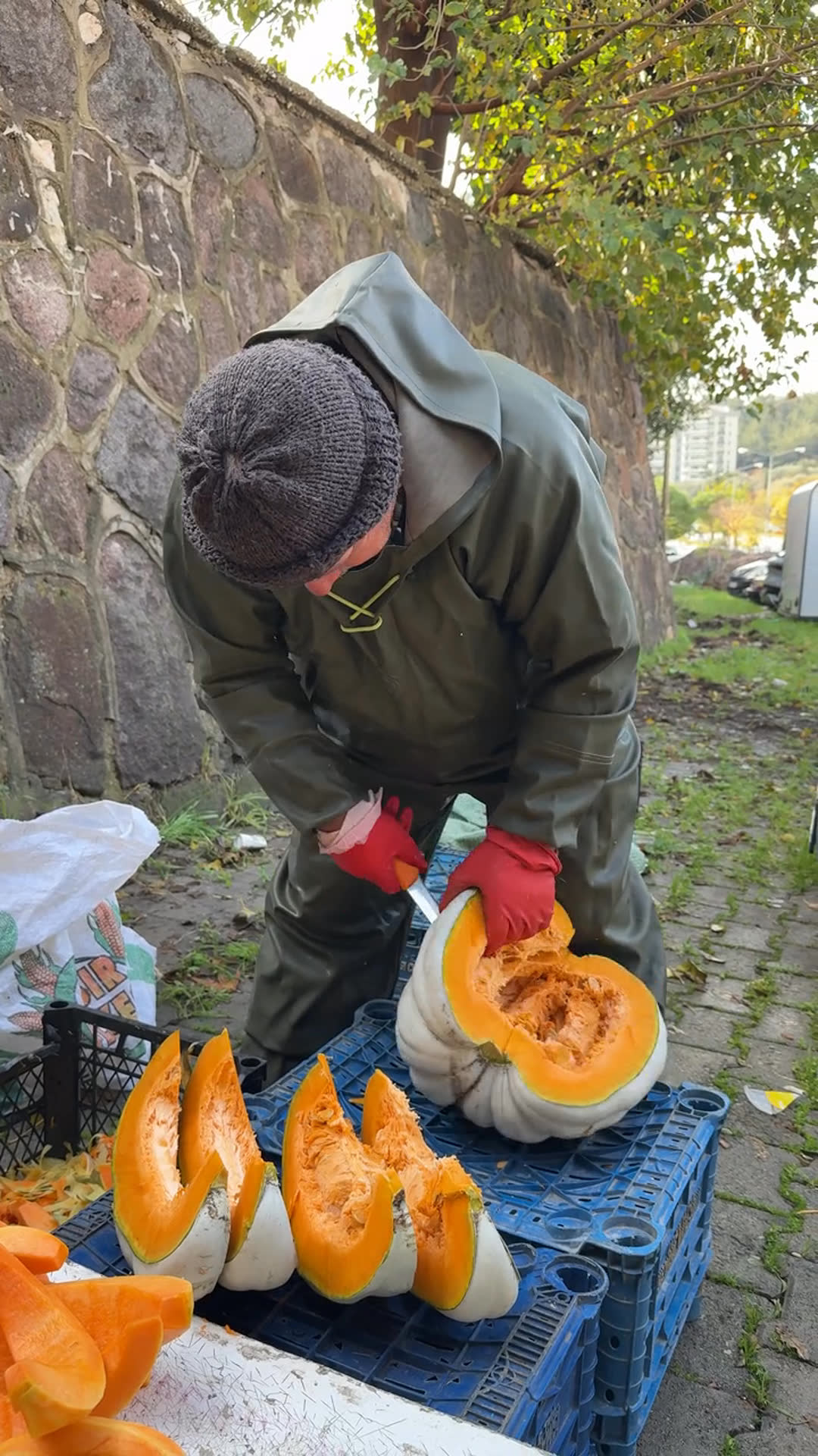 pumpkin carving