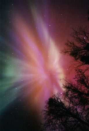 space never disappoints Aurora Above On some nights the sky is the…