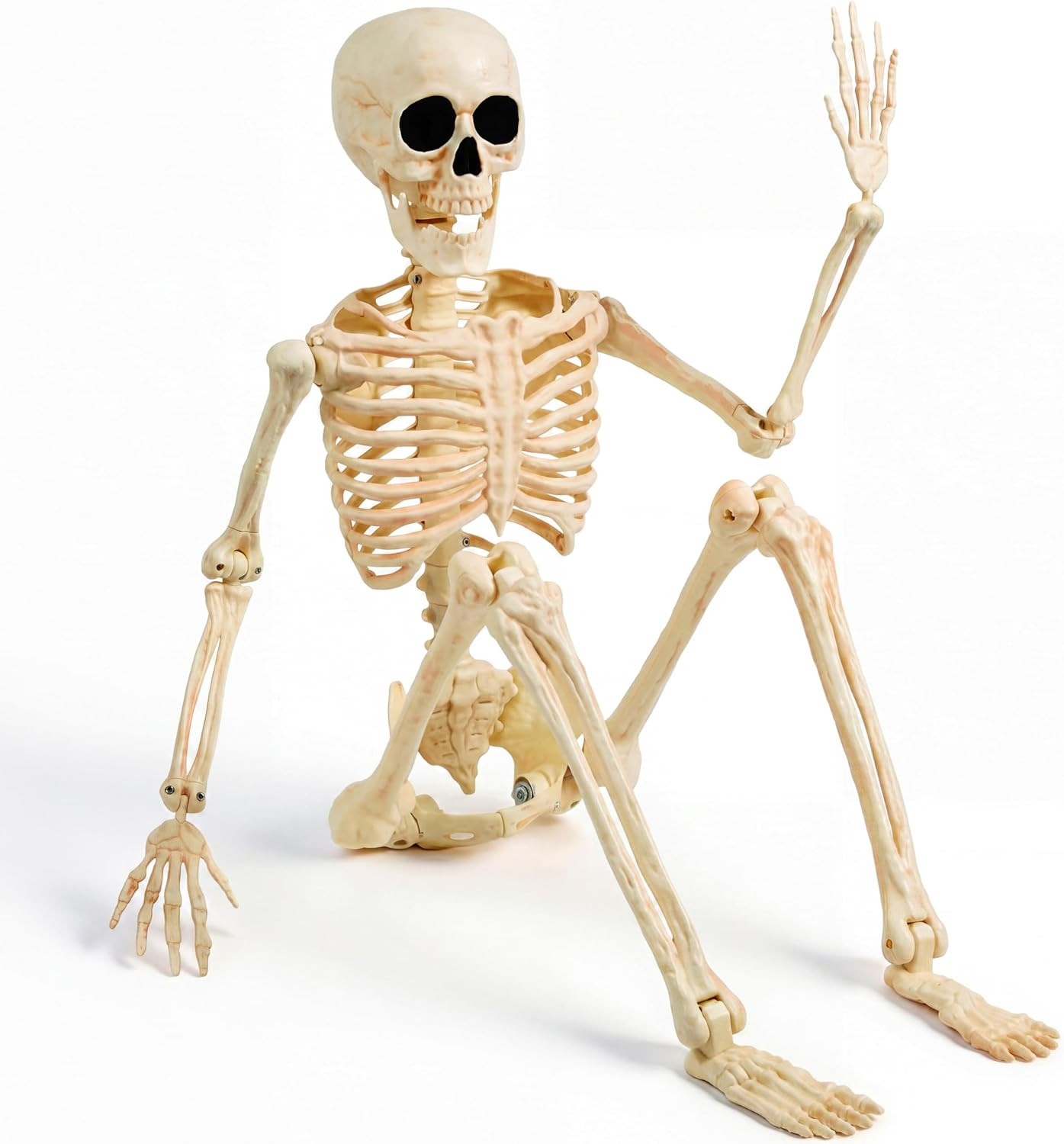 36" Halloween Skeleton Decor, 3FT Full Body Realistic Bones with Stayable Movabl